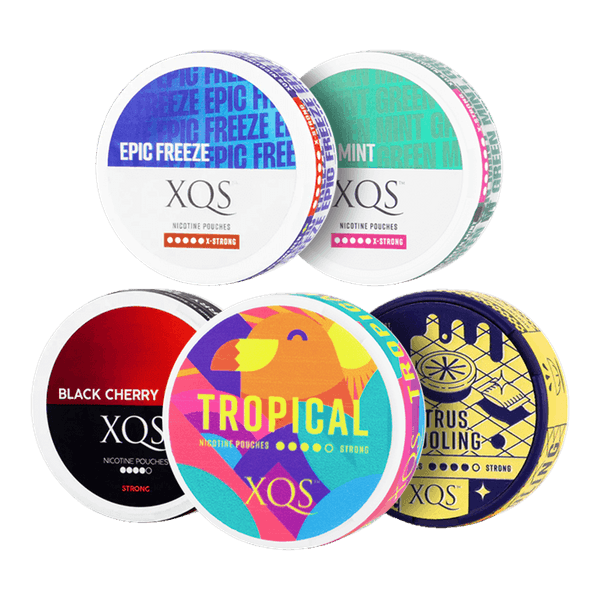 Poches de nicotine XQS XQS Spicy Mix Pack