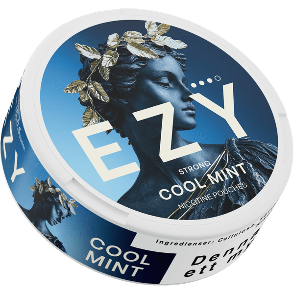 Poches de nicotine EZY EZY Cool Mint Strong